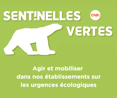 Rencontre des Sentinelles Vertes CFDT Éducation Formation Recherche Publiques
