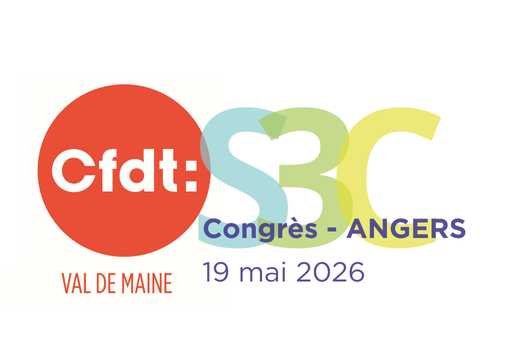 Congrès Syndicat Conseil Communication Culture (49-53-72)
