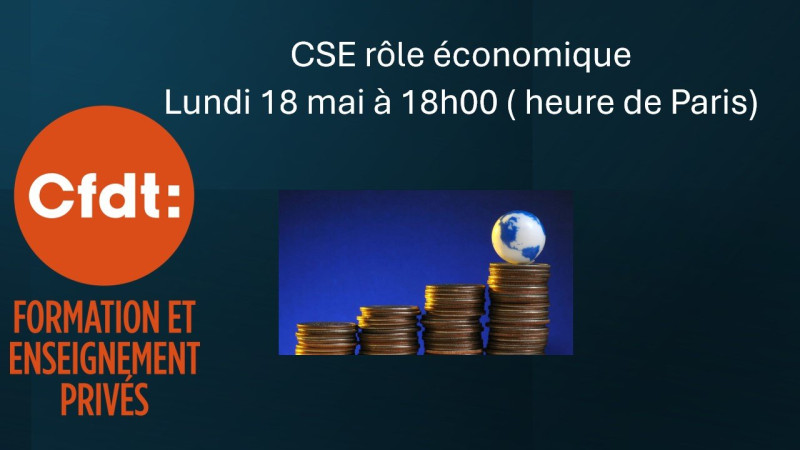 CSE : rôle économique