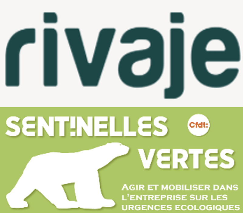 Webinaire des transitions n°34 - Agir et mobiliser pour la biodiversité dans son entreprise